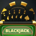 풀빠따 최신 주소 안내: 안전한 접속 방법과 이용 팁 총정리