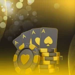 주소나라: 스마트한 인터넷 생활을 위한 올인원 정보 플랫폼