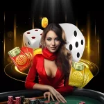 무료 중계란 무엇인가?